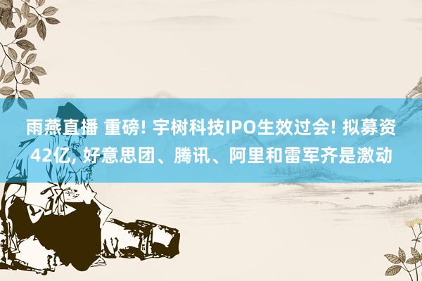 雨燕直播 重磅! 宇树科技IPO生效过会! 拟募资42亿, 好意思团、腾讯、阿里和雷军齐是激动
