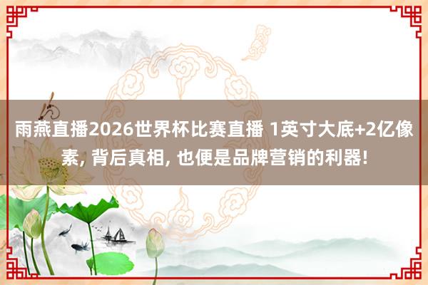 雨燕直播2026世界杯比赛直播 1英寸大底+2亿像素, 背后真相, 也便是品牌营销的利器!