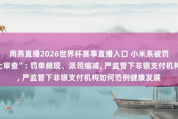 雨燕直播2026世界杯赛事直播入口 小米系被罚、小红书系被“中止审查”: 罚单频现、派司缩减, 严监管下非银支付机构如何范例健康发展
