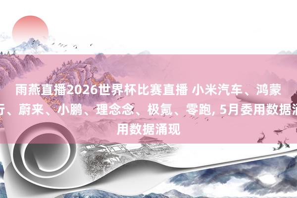 雨燕直播2026世界杯比赛直播 小米汽车、鸿蒙智行、蔚来、小鹏、理念念、极氪、零跑, 5月委用数据涌现