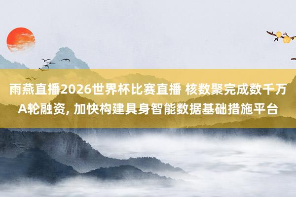 雨燕直播2026世界杯比赛直播 核数聚完成数千万A轮融资, 加快构建具身智能数据基础措施平台