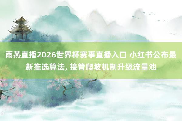 雨燕直播2026世界杯赛事直播入口 小红书公布最新推选算法， 接管爬坡机制升级流量池