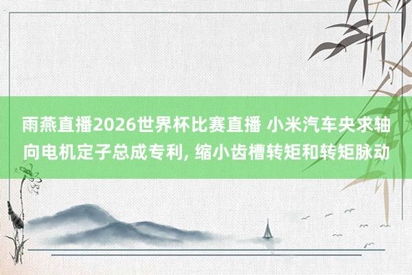 雨燕直播2026世界杯比赛直播 小米汽车央求轴向电机定子总成专利, 缩小齿槽转矩和转矩脉动