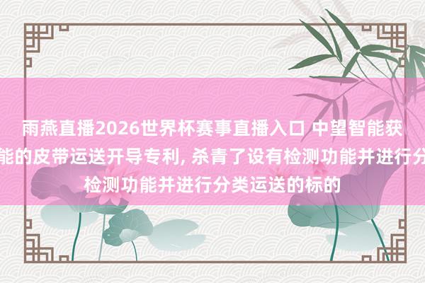 雨燕直播2026世界杯赛事直播入口 中望智能获得具有检测功能的皮带运送开导专利， 杀青了设有检测功能并进行分类运送的标的