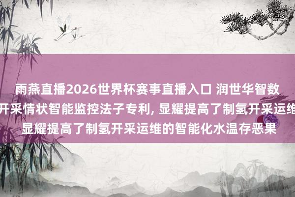 雨燕直播2026世界杯赛事直播入口 润世华智数请求基于AI大模子的开采情状智能监控法子专利, 显耀提高了制氢开采运维的智能化水温存恶果