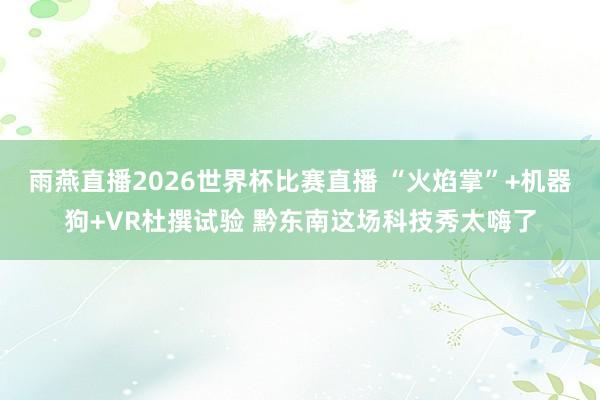 雨燕直播2026世界杯比赛直播 “火焰掌”+机器狗+VR杜撰试验 黔东南这场科技秀太嗨了