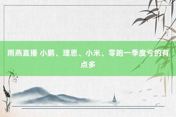 雨燕直播 小鹏、理思、小米、零跑一季度亏的有点多