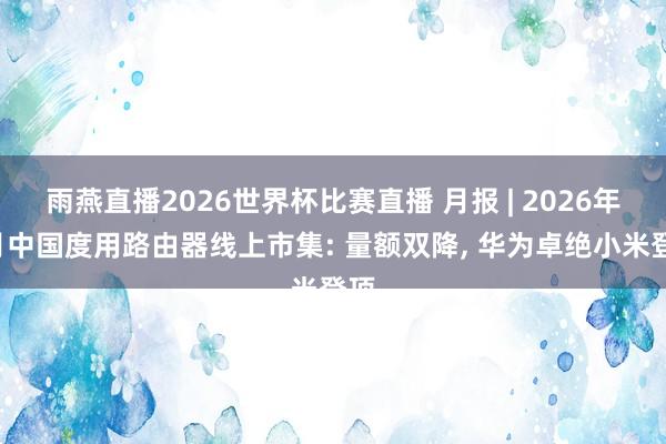 雨燕直播2026世界杯比赛直播 月报 | 2026年4月中国度用路由器线上市集: 量额双降, 华为卓绝小米登顶