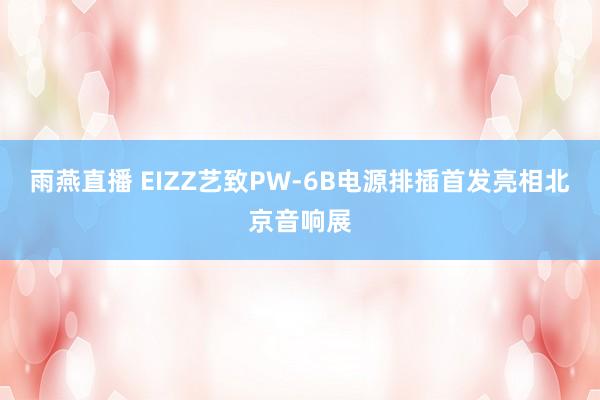 雨燕直播 EIZZ艺致PW-6B电源排插首发亮相北京音响展