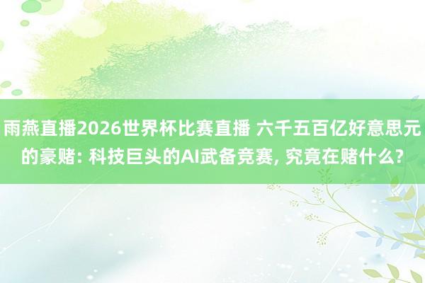 雨燕直播2026世界杯比赛直播 六千五百亿好意思元的豪赌: 科技巨头的AI武备竞赛， 究竟在赌什么?