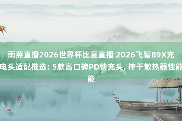 雨燕直播2026世界杯比赛直播 2026飞智B9X充电头适配推选: 5款高口碑PD快充头, 榨干散热器性能