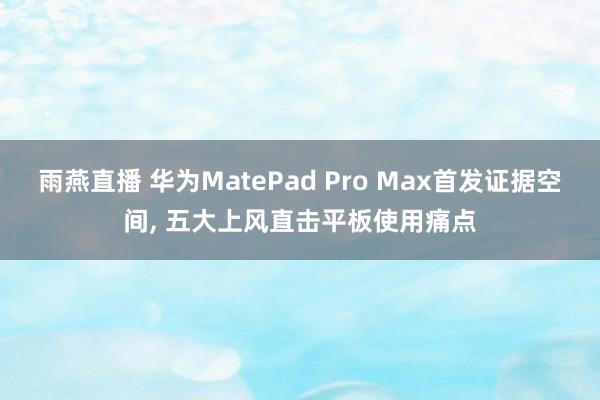 雨燕直播 华为MatePad Pro Max首发证据空间, 五大上风直击平板使用痛点
