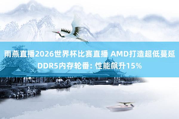 雨燕直播2026世界杯比赛直播 AMD打造超低蔓延DDR5内存轮番: 性能飙升15%