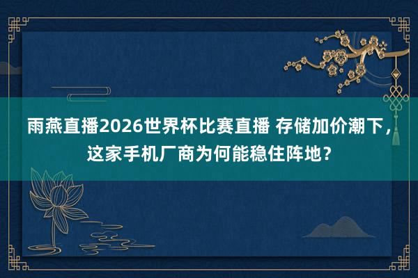 雨燕直播2026世界杯比赛直播 存储加价潮下，这家手机厂商为何能稳住阵地？