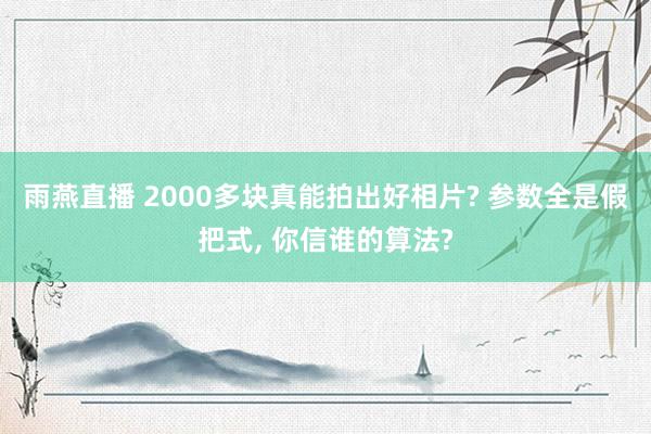 雨燕直播 2000多块真能拍出好相片? 参数全是假把式， 你信谁的算法?