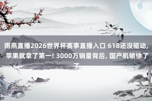 雨燕直播2026世界杯赛事直播入口 618还没驱动, 苹果就拿了第一! 3000万销量背后, 国产机输惨了