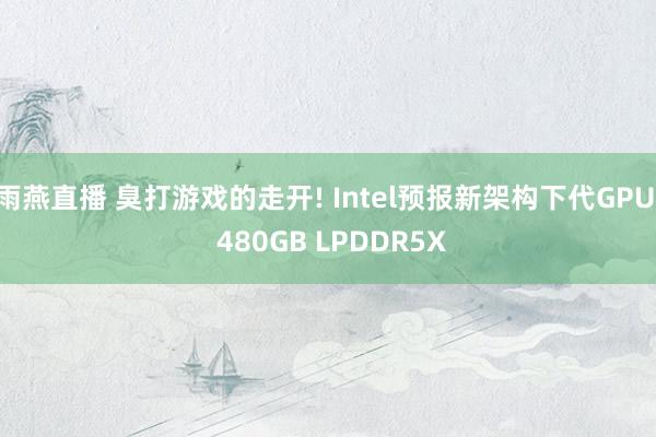 雨燕直播 臭打游戏的走开! Intel预报新架构下代GPU: 480GB LPDDR5X