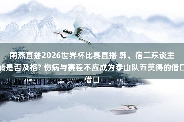 雨燕直播2026世界杯比赛直播 韩、宿二东谈主转是否及格? 伤病与赛程不应成为泰山队五莫得的借口