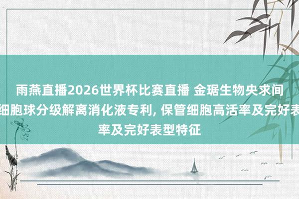 雨燕直播2026世界杯比赛直播 金琚生物央求间充质干细胞球分级解离消化液专利， 保管细胞高活率及完好表型特征