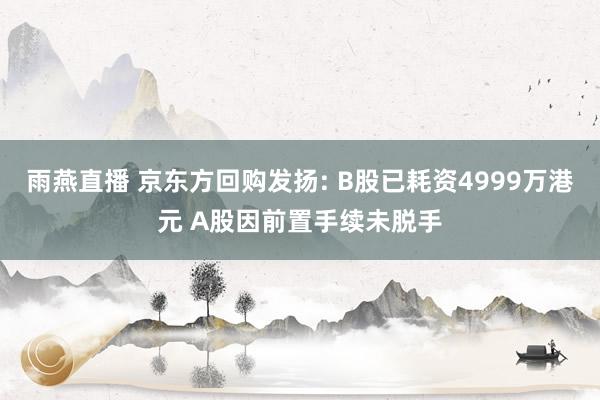 雨燕直播 京东方回购发扬: B股已耗资4999万港元 A股因前置手续未脱手