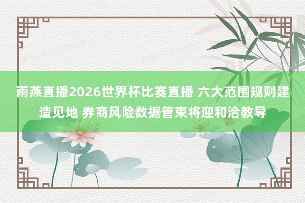 雨燕直播2026世界杯比赛直播 六大范围规则建造见地 券商风险数据管束将迎和洽教导
