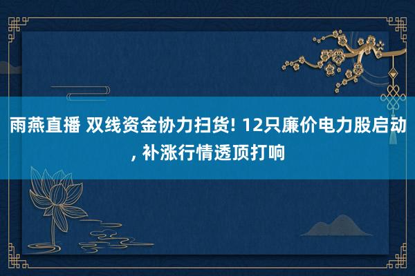 雨燕直播 双线资金协力扫货! 12只廉价电力股启动， 补涨行情透顶打响