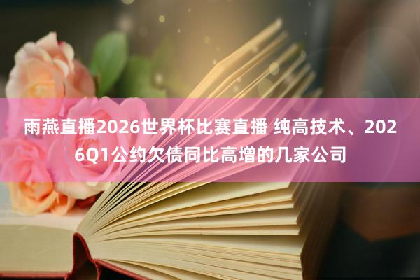 雨燕直播2026世界杯比赛直播 纯高技术、2026Q1公约欠债同比高增的几家公司