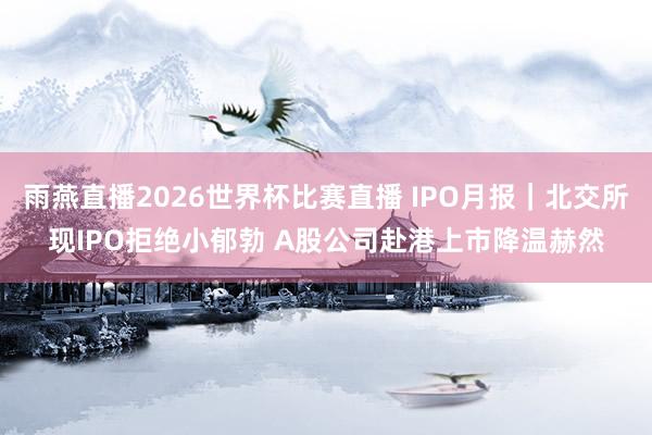 雨燕直播2026世界杯比赛直播 IPO月报|北交所现IPO拒绝小郁勃 A股公司赴港上市降温赫然