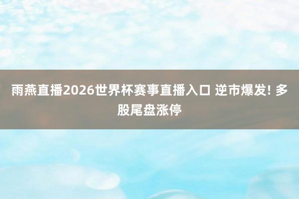 雨燕直播2026世界杯赛事直播入口 逆市爆发! 多股尾盘涨停