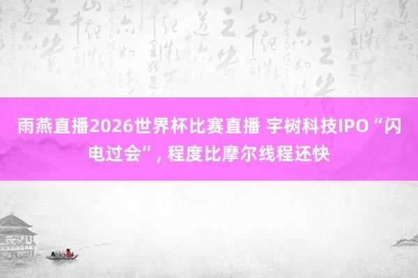 雨燕直播2026世界杯比赛直播 宇树科技IPO“闪电过会”, 程度比摩尔线程还快