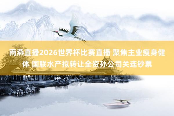 雨燕直播2026世界杯比赛直播 聚焦主业瘦身健体 国联水产拟转让全资孙公司关连钞票