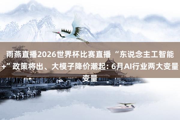 雨燕直播2026世界杯比赛直播 “东说念主工智能+”政策将出、大模子降价潮起: 6月AI行业两大变量