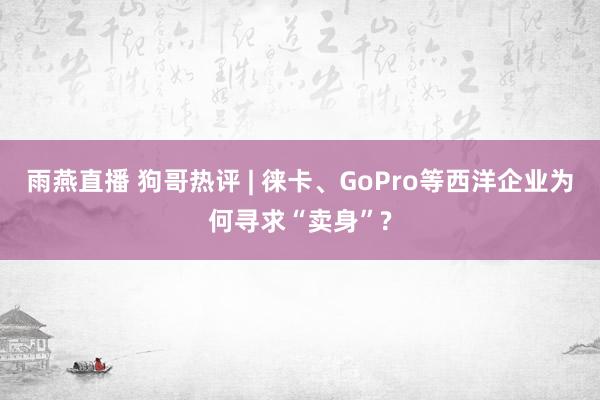 雨燕直播 狗哥热评 | 徕卡、GoPro等西洋企业为何寻求“卖身”?