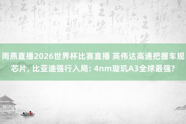 雨燕直播2026世界杯比赛直播 英伟达高通把握车规芯片, 比亚迪强行入局: 4nm璇玑A3全球最强?