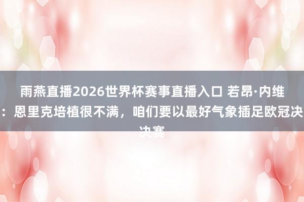雨燕直播2026世界杯赛事直播入口 若昂·内维斯:恩里克培植很不满,咱们要以最好气象插足欧冠决赛