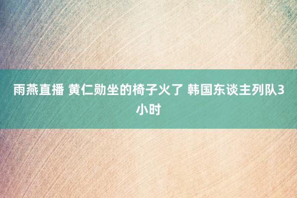 雨燕直播 黄仁勋坐的椅子火了 韩国东谈主列队3小时