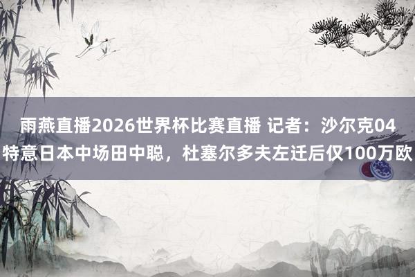 雨燕直播2026世界杯比赛直播 记者:沙尔克04特意日本中场田中聪,杜塞尔多夫左迁后仅100万欧