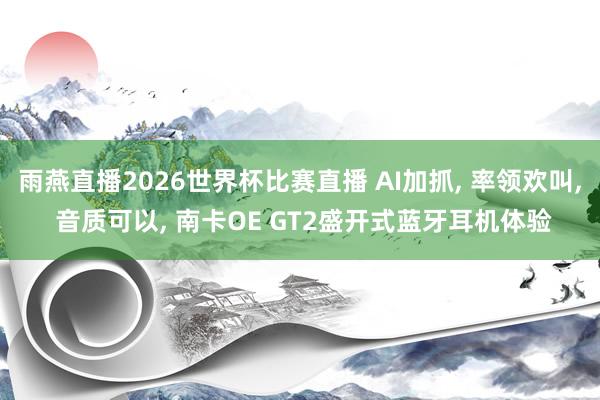 雨燕直播2026世界杯比赛直播 AI加抓, 率领欢叫, 音质可以, 南卡OE GT2盛开式蓝牙耳机体验