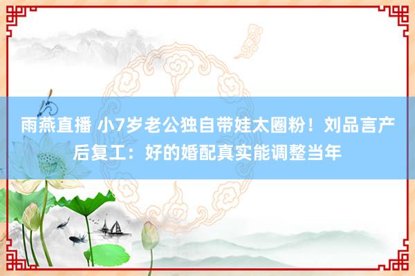 雨燕直播 小7岁老公独自带娃太圈粉！刘品言产后复工：好的婚配真实能调整当年