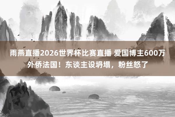 雨燕直播2026世界杯比赛直播 爱国博主600万外侨法国！东谈主设坍塌，粉丝怒了