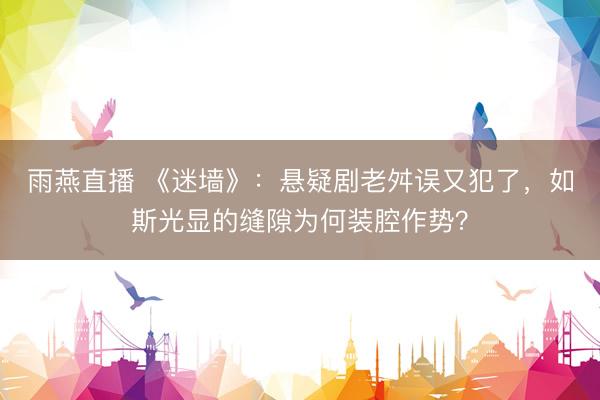 雨燕直播 《迷墙》:悬疑剧老舛误又犯了,如斯光显的缝隙为何装腔作势?