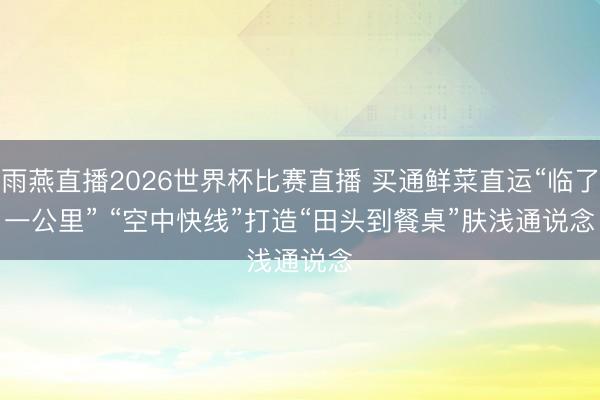 雨燕直播2026世界杯比赛直播 买通鲜菜直运“临了一公里” “空中快线”打造“田头到餐桌”肤浅通说念