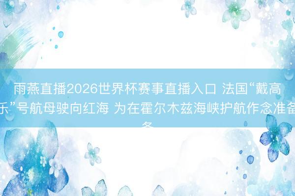 雨燕直播2026世界杯赛事直播入口 法国“戴高乐”号航母驶向红海 为在霍尔木兹海峡护航作念准备
