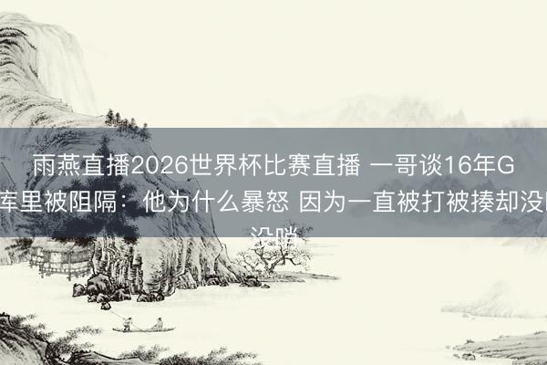 雨燕直播2026世界杯比赛直播 一哥谈16年G6库里被阻隔:他为什么暴怒 因为一直被打被揍却没哨