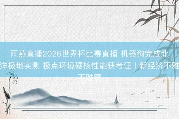 雨燕直播2026世界杯比赛直播 机器狗完成北冰洋极地实测 极点环境硬核性能获考证丨新经济不雅察