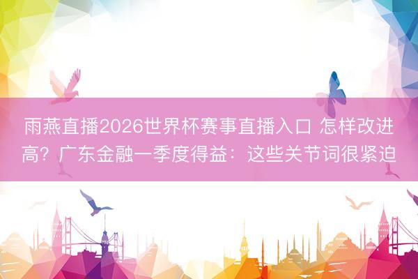 雨燕直播2026世界杯赛事直播入口 怎样改进高?广东金融一季度得益:这些关节词很紧迫
