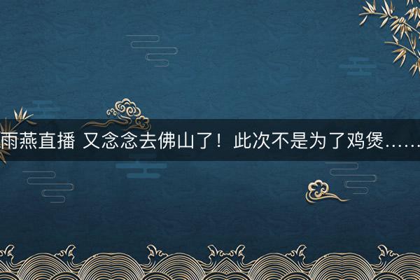 雨燕直播 又念念去佛山了！此次不是为了鸡煲……