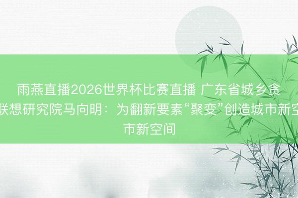 雨燕直播2026世界杯比赛直播 广东省城乡贪图联想研究院马向明：为翻新要素“聚变”创造城市新空间