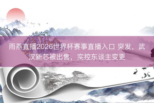 雨燕直播2026世界杯赛事直播入口 突发，武汉新芯被出售，实控东谈主变更